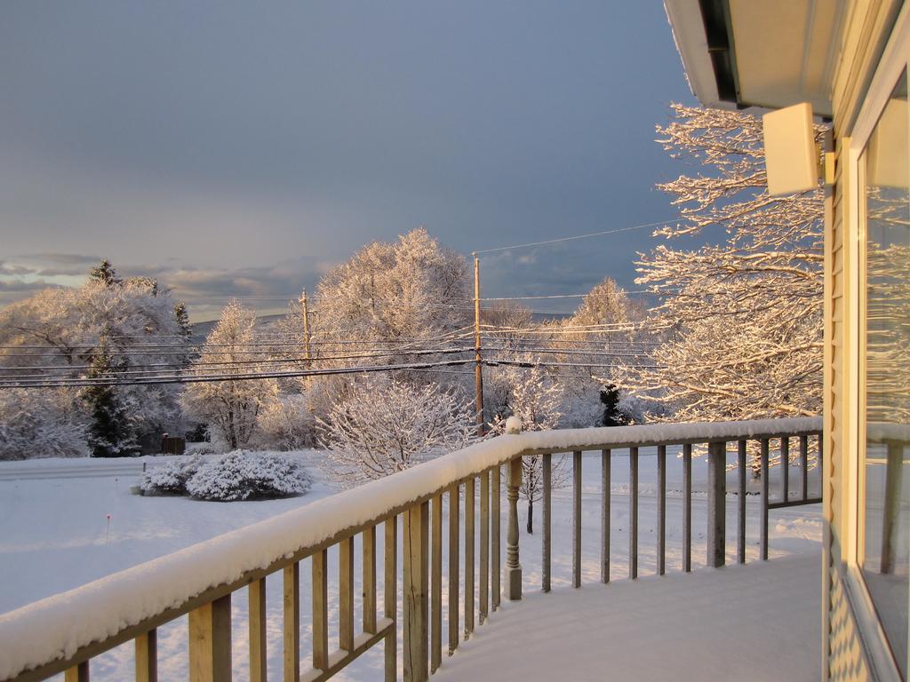 Basinview Motel Smiths Cove Exterior photo
