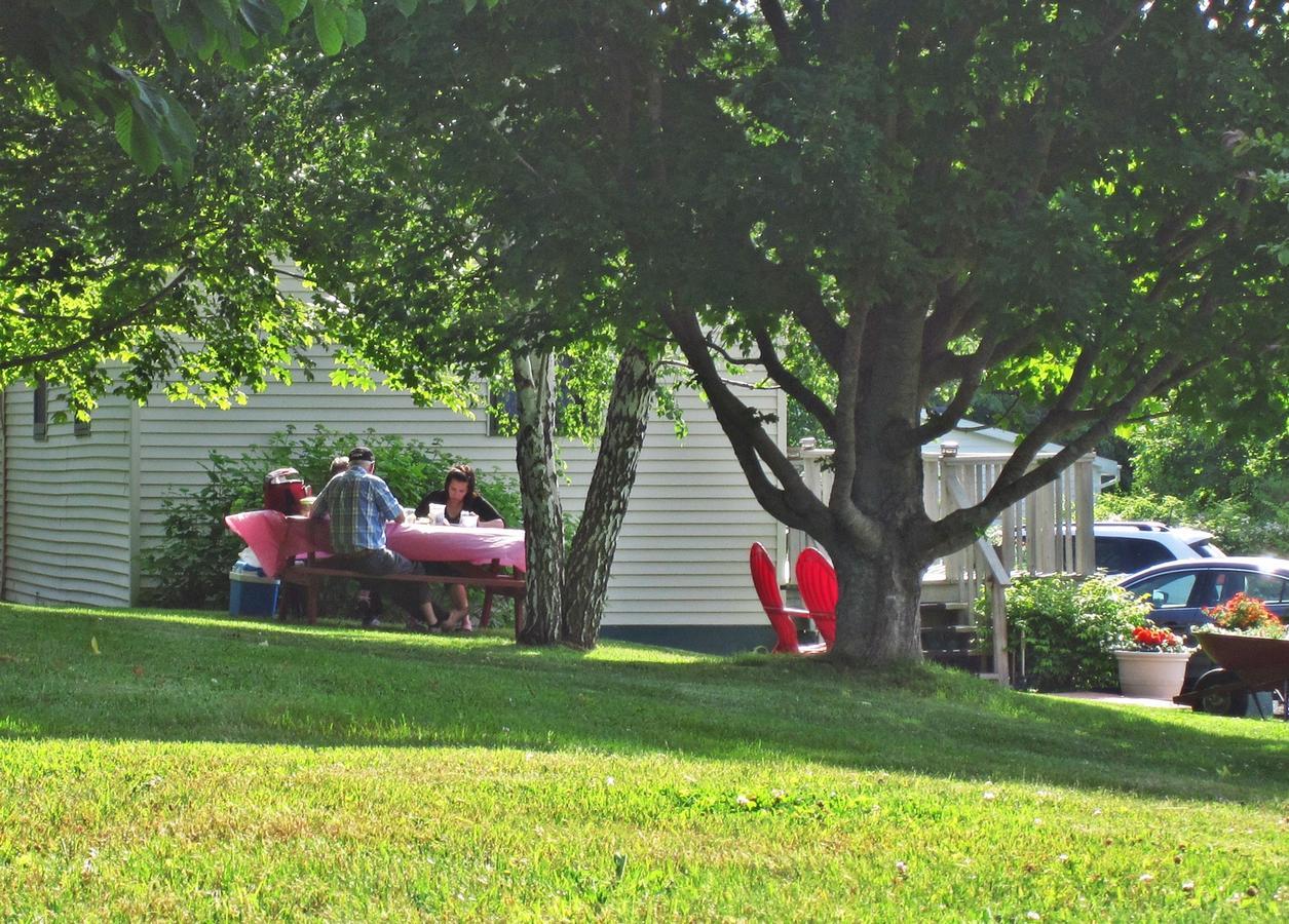Basinview Motel Smiths Cove Exterior photo