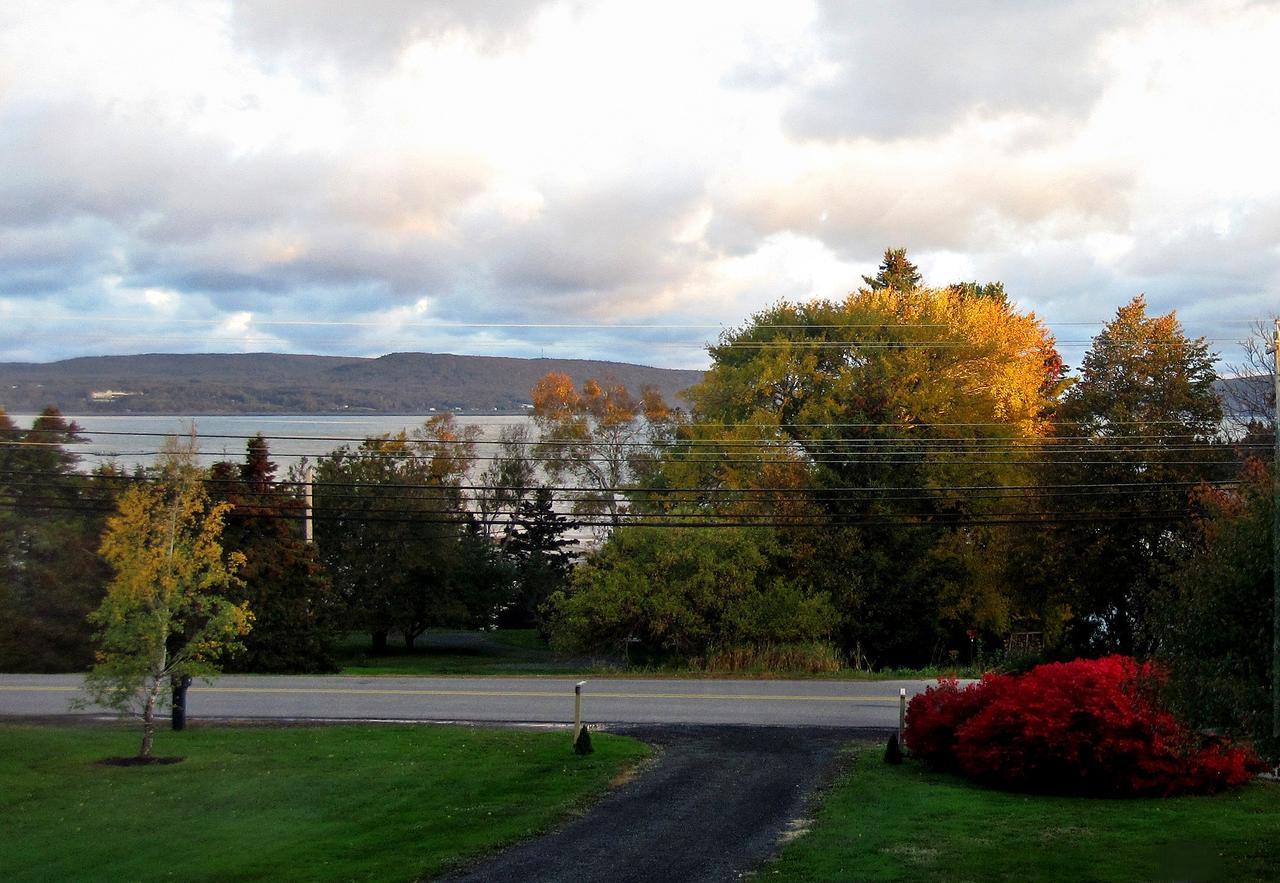 Basinview Motel Smiths Cove Exterior photo